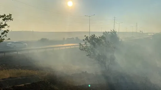 100 dönüm anız cayır cayır yandı: İstanbul-Edirne yolu trafiğe kapandı