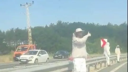 Ekipler 4 ölümlü kazaya arıcı kıyafeti giyerek müdahale etti