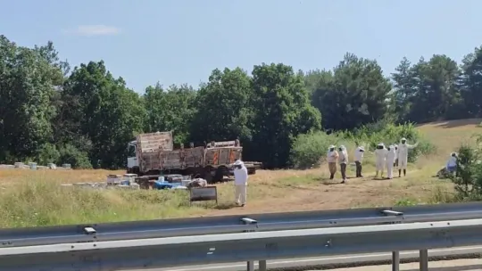Ekipler 4 ölümlü kazaya arıcı kıyafeti giyerek müdahale etti