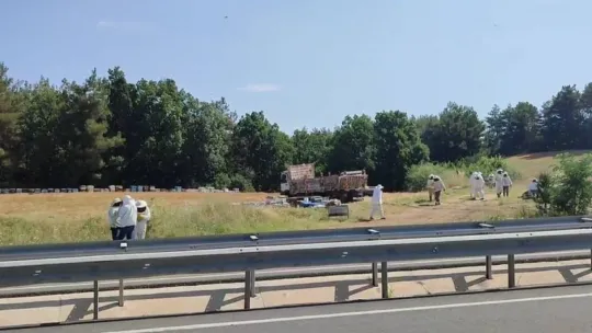 Ekipler 4 ölümlü kazaya arıcı kıyafeti giyerek müdahale etti