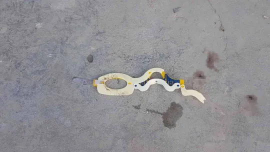 Ayakkabısını alıp kaçan köpeğin peşinden gitmişti, feci olayda hayatını kaybetti