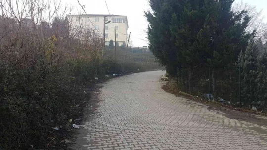 Ayakkabısını alıp kaçan köpeğin peşinden gitmişti, feci olayda hayatını kaybetti