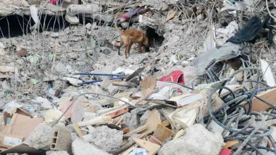 Aydın Büyükşehir'in arama kurtarma ekipleri deprem bölgesinde çalışmalara başladı