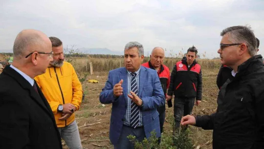 Ayvalık 100 yıl sonra yeniden sakız ağacı yetiştirecek