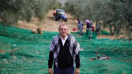Ayvalık Belediyesi'ne ait zeytinliklerde ilk hasat Başkan Ergin'den