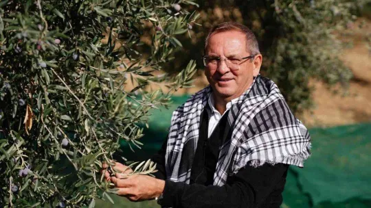 Ayvalık Belediyesi'ne ait zeytinliklerde ilk hasat Başkan Ergin'den