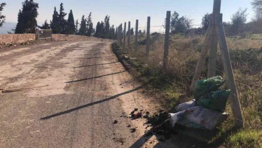 Ayvalık'ta 'karadiken' kabuklarına İlçe Hıfzıssıhha Kurulu freni