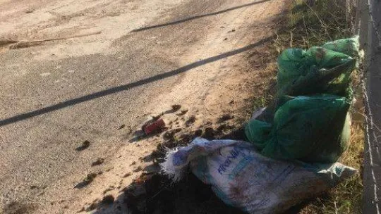 Ayvalık'ta 'karadiken' kabuklarına İlçe Hıfzıssıhha Kurulu freni