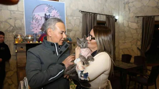 Ayvalık'ta şanslı kedi Gümüş'e 5. doğum günü partisi