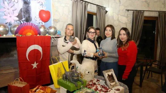 Ayvalık'ta şanslı kedi Gümüş'e 5. doğum günü partisi
