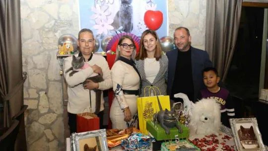 Ayvalık'ta şanslı kedi Gümüş'e 5. doğum günü partisi