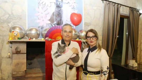 Ayvalık'ta şanslı kedi Gümüş'e 5. doğum günü partisi