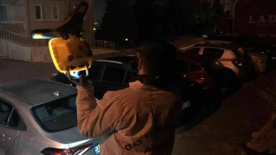 Babası tarafından boğazı sıkılan genç hayatını kaybetti