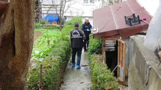 Babasını döven kuzenini öldüren şüpheli tutuklandı