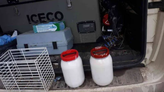 Bakanlıktan Kiraz Deresi'nde kirliliğe neden olan firmaya ceza