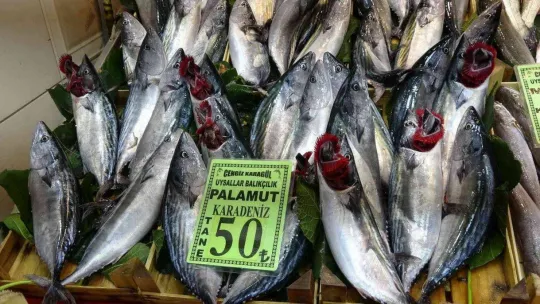 Balık fiyatları düştü, vatandaşların ilgisi arttı