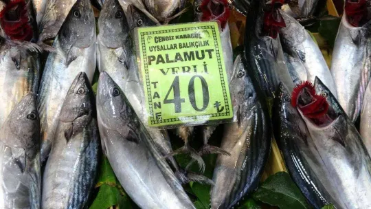 Balık fiyatları düştü, vatandaşların ilgisi arttı
