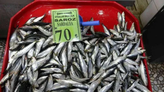 Balık fiyatları düştü, vatandaşların ilgisi arttı