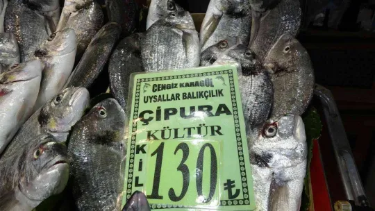Balık fiyatları düştü, vatandaşların ilgisi arttı