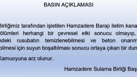 Balık ölümleri, onarımdan dolayı kanaldaki suların çekilmesi sebebiyle gerçekleşti