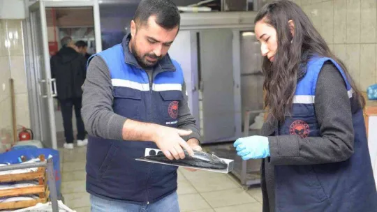 Balık pazarında denetim