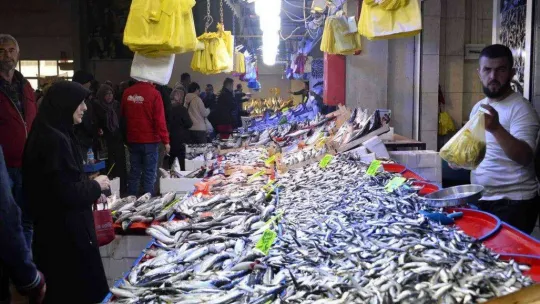 Balık pazarında denetim