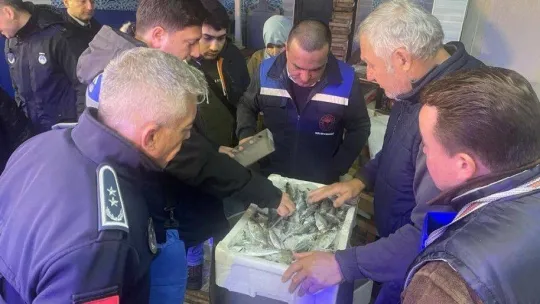 Balık satış yerlerine denetim yapıldı