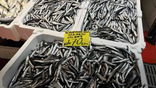 Balık tezgahının en ucuzu hamsi ve istavrit