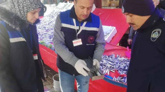 Balık tezgahlarına denetim