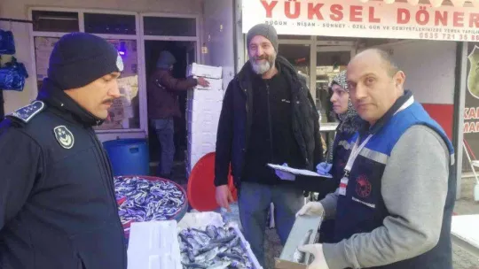 Balık tezgahlarına denetim