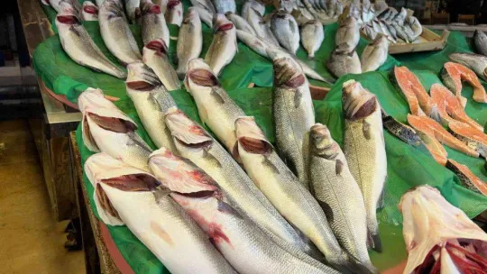 Balık tezgahlarında palamutun yerini çinekop ve hamsi aldı