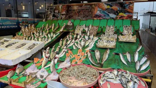 Balık tezgahlarında palamutun yerini çinekop ve hamsi aldı