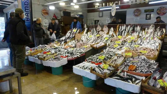 Balık tezgahlarında palamutun yerini çinekop alıyor