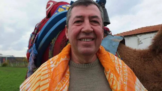 Balıkesir'de develer güreşlere hazırlanıyor