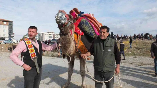 Balıkesir'de develer için havut hayrı yapıldı