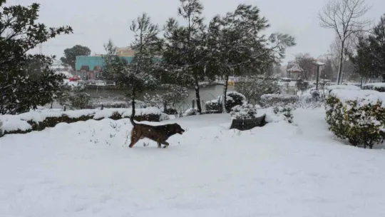 Balıkesir'de kar etkili olmaya devam ediyor