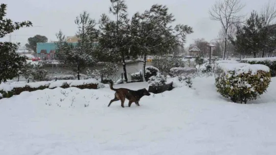 Balıkesir'de kar etkili olmaya devam ediyor