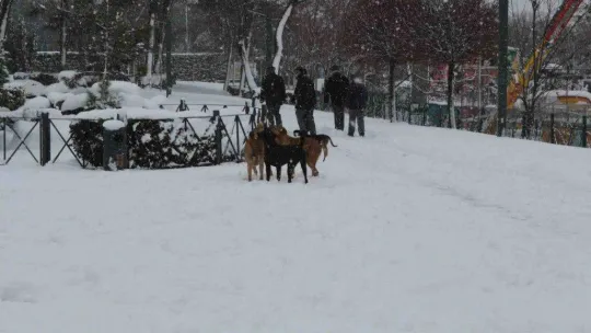 Balıkesir'de kar etkili olmaya devam ediyor