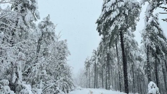Balıkesir'de kar üstünde kamp keyfi