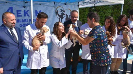 Balıkesir'de mamamatikler devreye alınacak