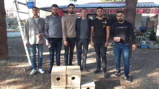 Balıkesir'de üniversiteli gençler sincaplara yuva yaptı