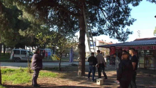 Balıkesir'de üniversiteli gençler sincaplara yuva yaptı