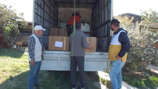 Balıkesir'de üretilen şeker otu Amerika'ya ihraç ediliyor