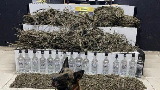 Balıkesir'de uyuşturucu baskınında 13 gözaltı