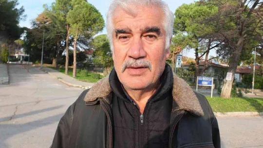 Balıkesir Ören Sahili'nde kuruyan ağaçlar tedirgin etti