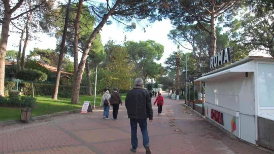 Balıkesir Ören Sahili'nde kuruyan ağaçlar tedirgin etti