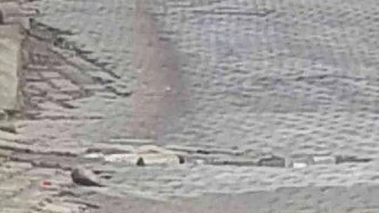 Balıkesir Valisi kazadan kıl payı kurtuldu