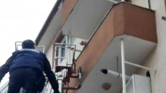 Balkonda mahsur kalan kediyi itfaiye ekipleri kurtardı