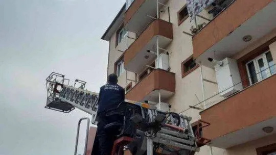 Balkonda mahsur kalan kediyi itfaiye ekipleri kurtardı