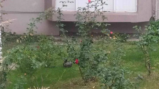 Balkonda patlayan tüp paniğe neden oldu